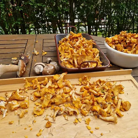 Nyaraló Cozy House In A Panoramic Location