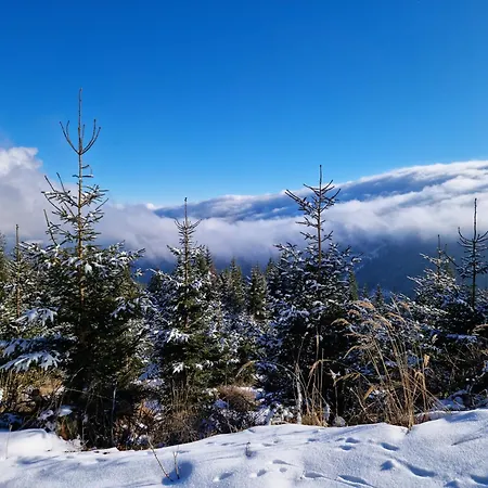 Cozy House In A Panoramic Location Holiday home Neuwald
