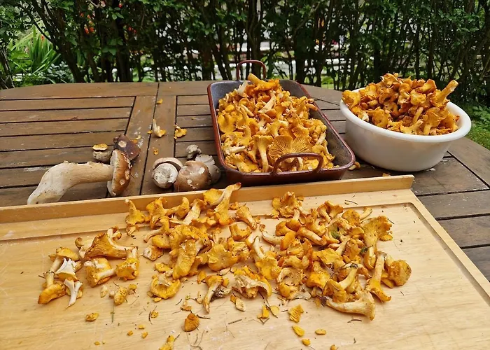 Holiday home Cozy House In A Panoramic Location