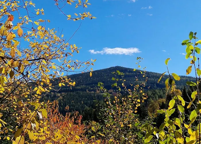 Cozy House In A Panoramic Location Neuwald