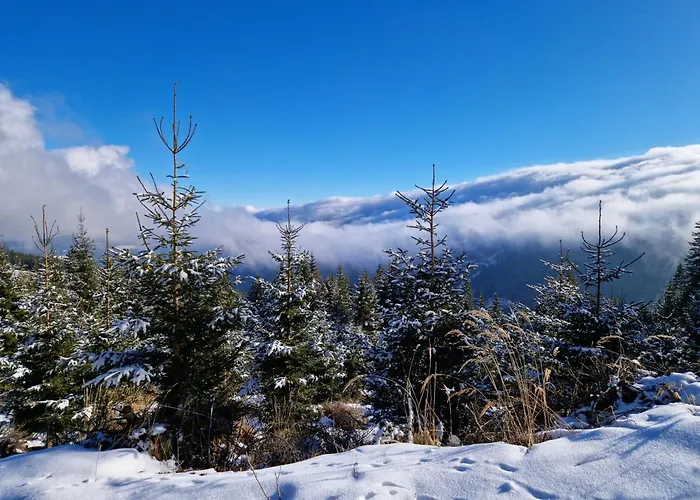 Cozy House In A Panoramic Location Holiday home Neuwald